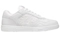 Dior B27 Low 'Dior Gravity - White'