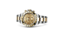 Rolex 116503 Cosmograph Daytona Gold 