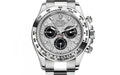 Rolex 116509 Daytona Meteorite