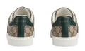 Gucci Ace trainer with Web 
