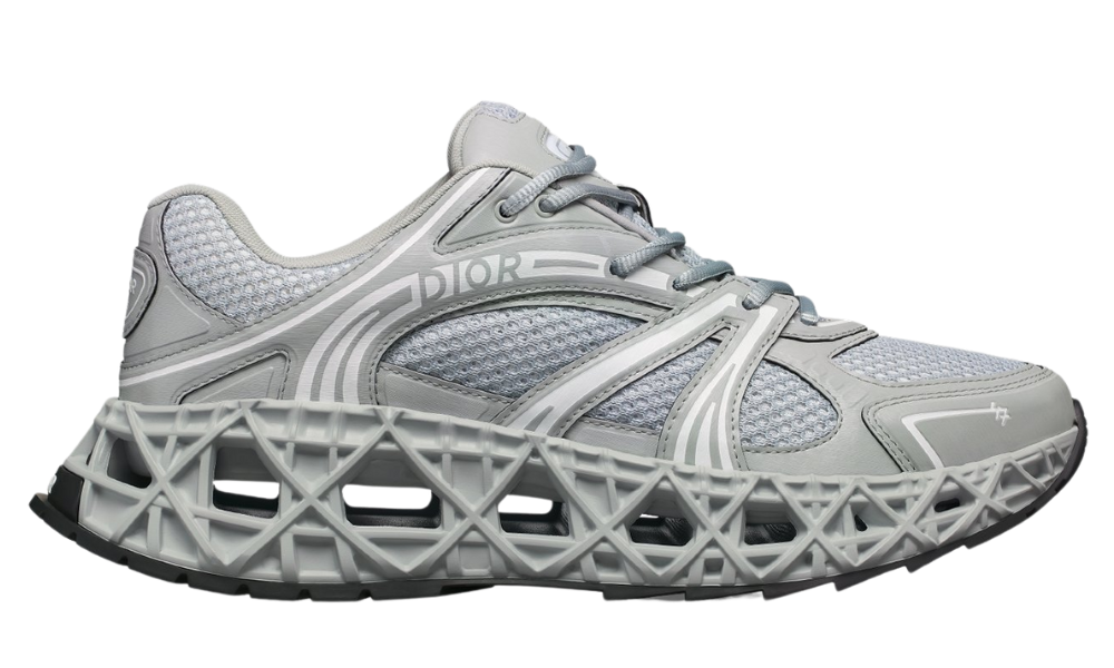 Dior B35 Nxxt "Gray"