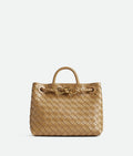 BOTTEGA VENETA Small Andiamo 766014