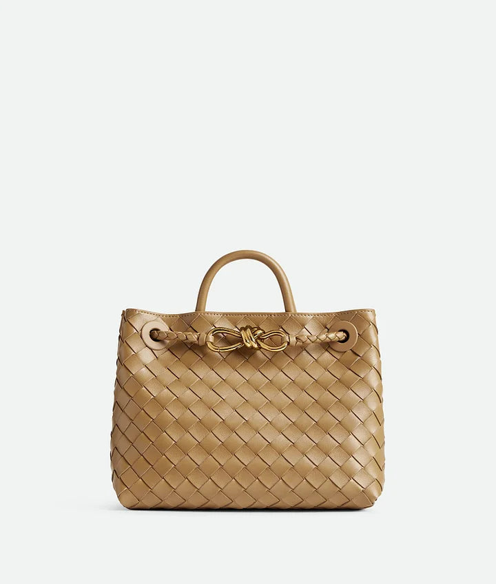 BOTTEGA VENETA Small Andiamo 766014