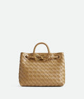 BOTTEGA VENETA Small Andiamo 766014