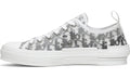 Dior B23 Low 'Dior Oblique'