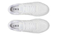 Dior B27 Low 'Dior Oblique - White'