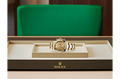 Rolex 116508 Daytona Champagne-colour