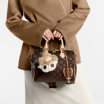 Louis Vuitton Speedy Bandoulière 25 Monogram